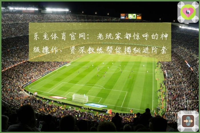 乐竞体育官网：老玩家都惊呼的神级操作，资深教练帮你揭秘进阶套路！
